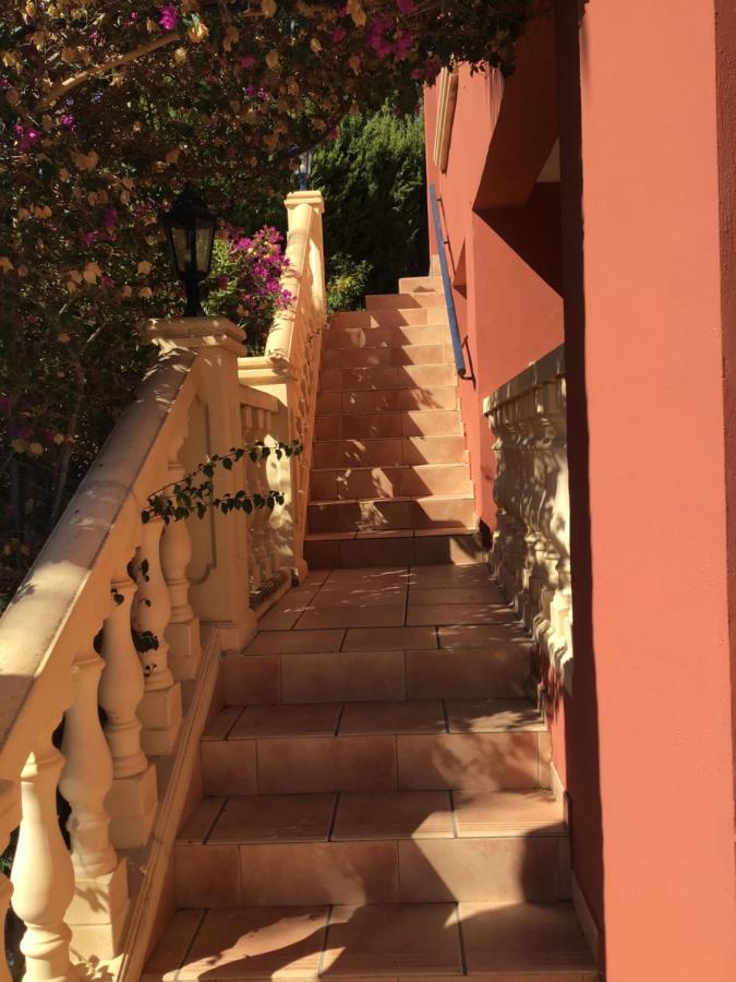 אלביר Villa Paloma Blanca מראה חיצוני תמונה