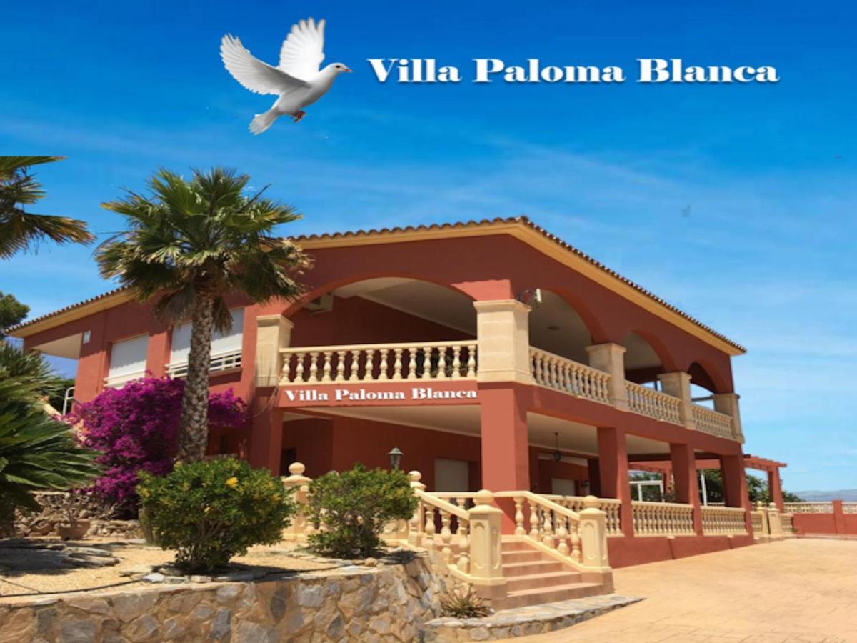 אלביר Villa Paloma Blanca מראה חיצוני תמונה