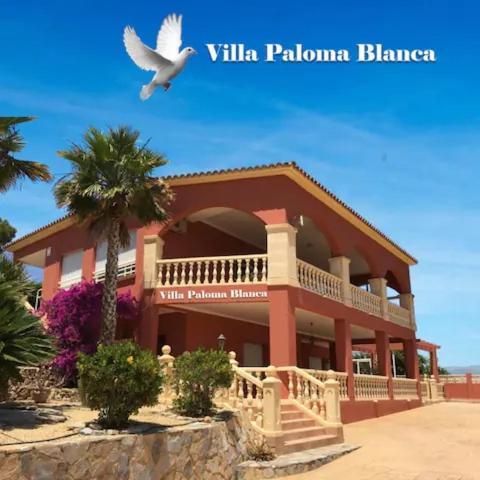 אלביר Villa Paloma Blanca מראה חיצוני תמונה